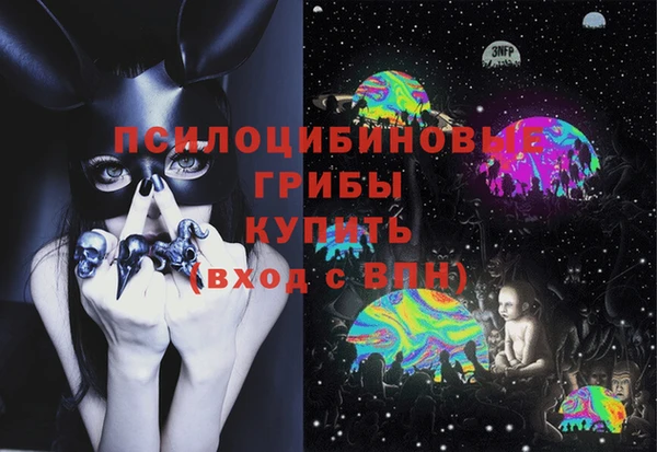 apvp Алексеевка
