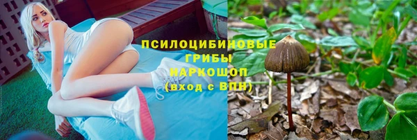 apvp Алексеевка