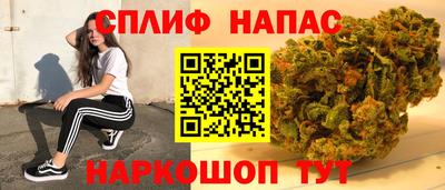 гашик Малоярославец