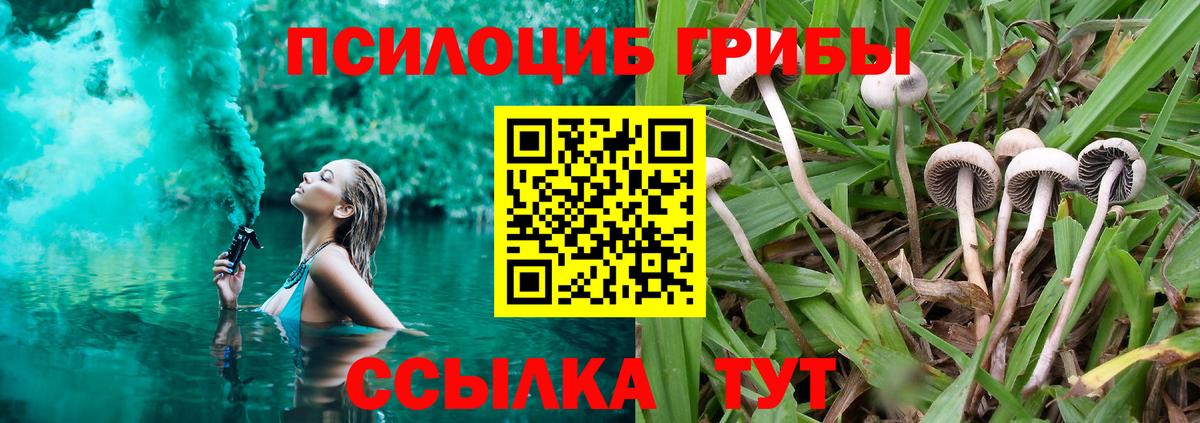 Псилоцибиновые грибы MAGIC MUSHROOMS Ишим